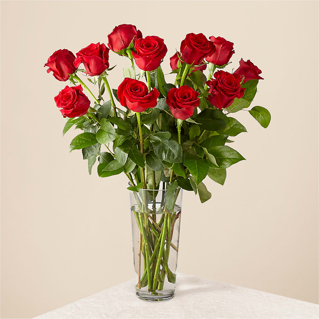 Long Stem Red Rose Bouquet – Paoli Mercantile, Paoli IN