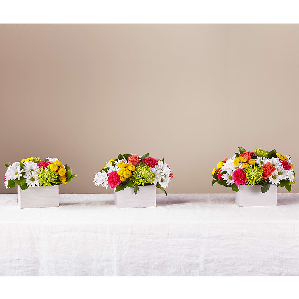 Sorbet Bouquet – Paoli Mercantile, Paoli IN