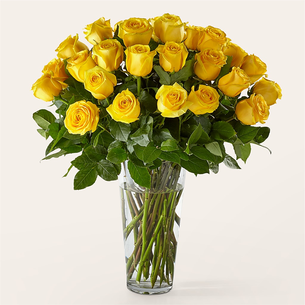 Long Stem Yellow Rose Bouquet – Paoli Mercantile, Paoli IN
