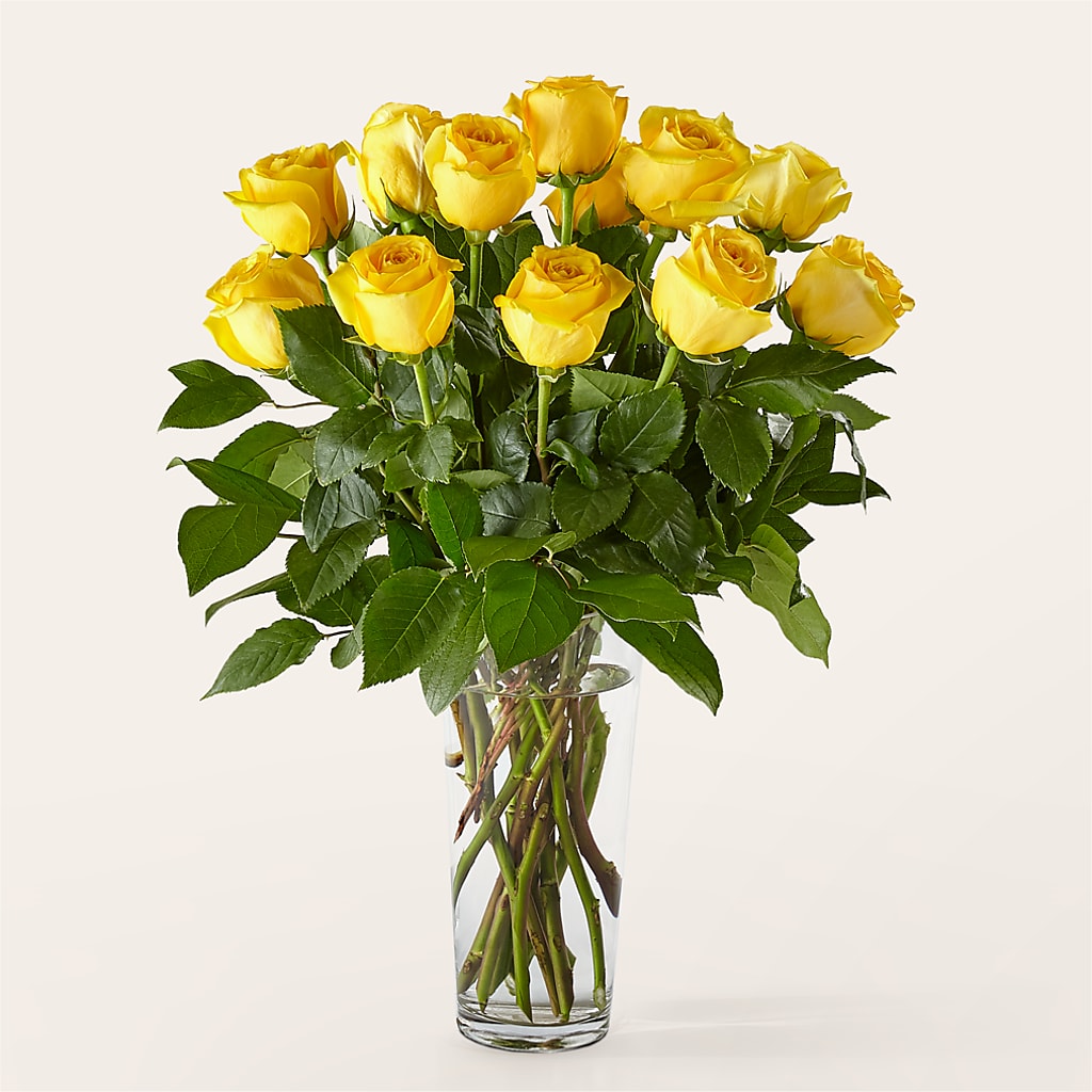 Long Stem Yellow Rose Bouquet – Paoli Mercantile, Paoli IN