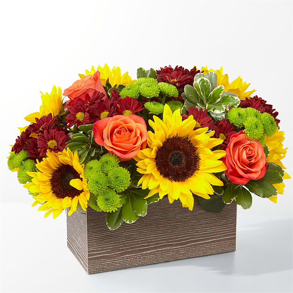 Happy Harvest Garden – Paoli Mercantile, Paoli IN