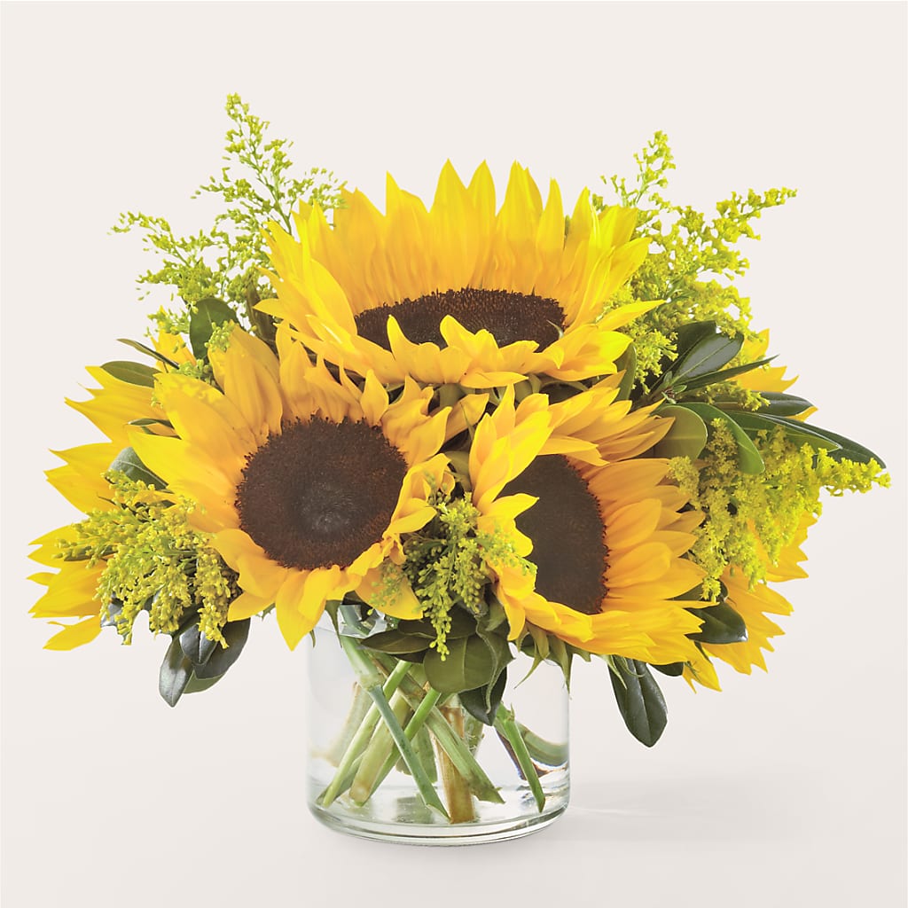 Beaming Sunflower Bouquet – Paoli Mercantile, Paoli IN
