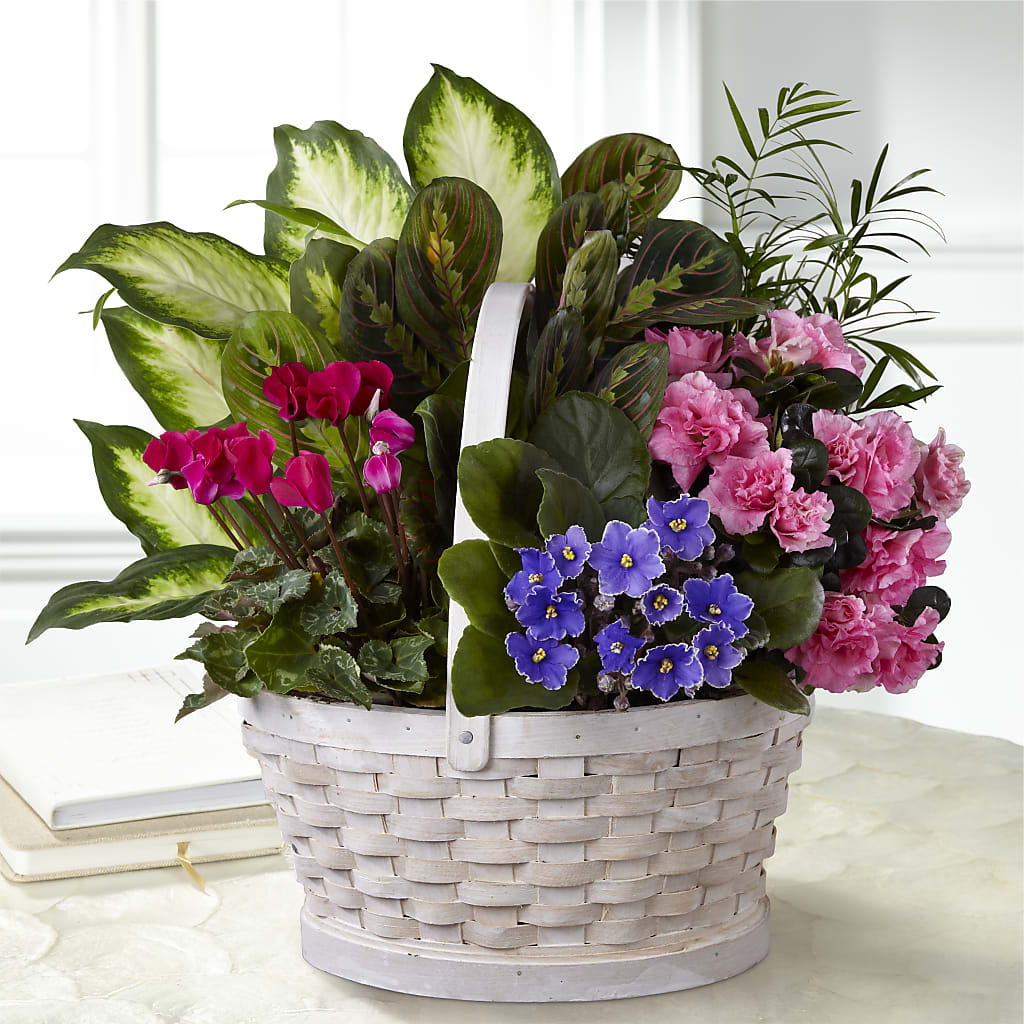Peaceful Garden Planter – Paoli Mercantile, Paoli IN