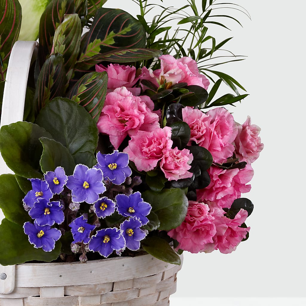 Peaceful Garden Planter – Paoli Mercantile, Paoli IN