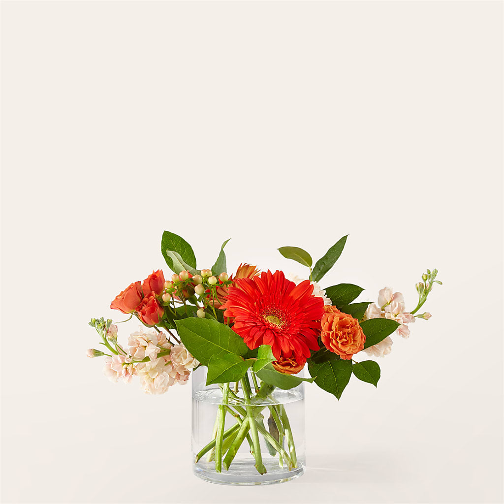 Paloma Please Bouquet – Paoli Mercantile, Paoli IN