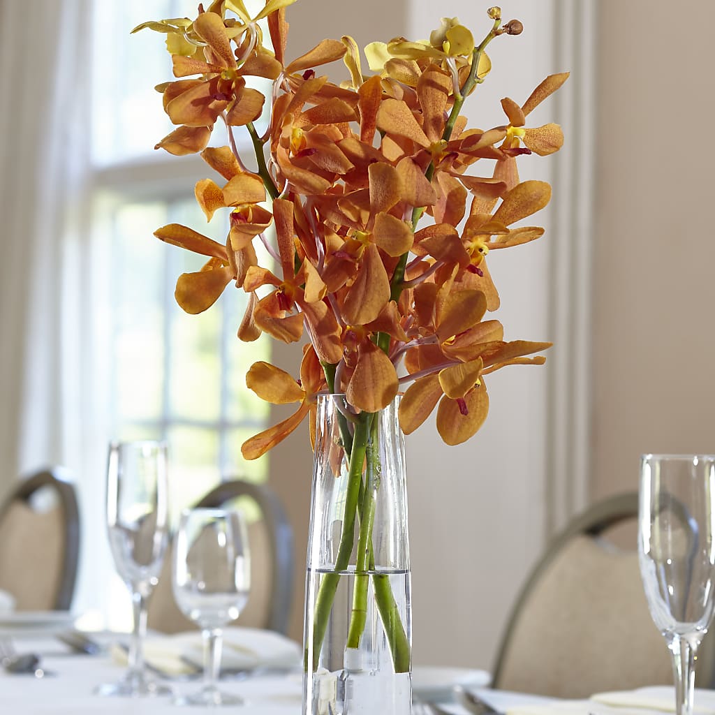 Orange Mokara Bud Vase – Paoli Mercantile, Paoli IN