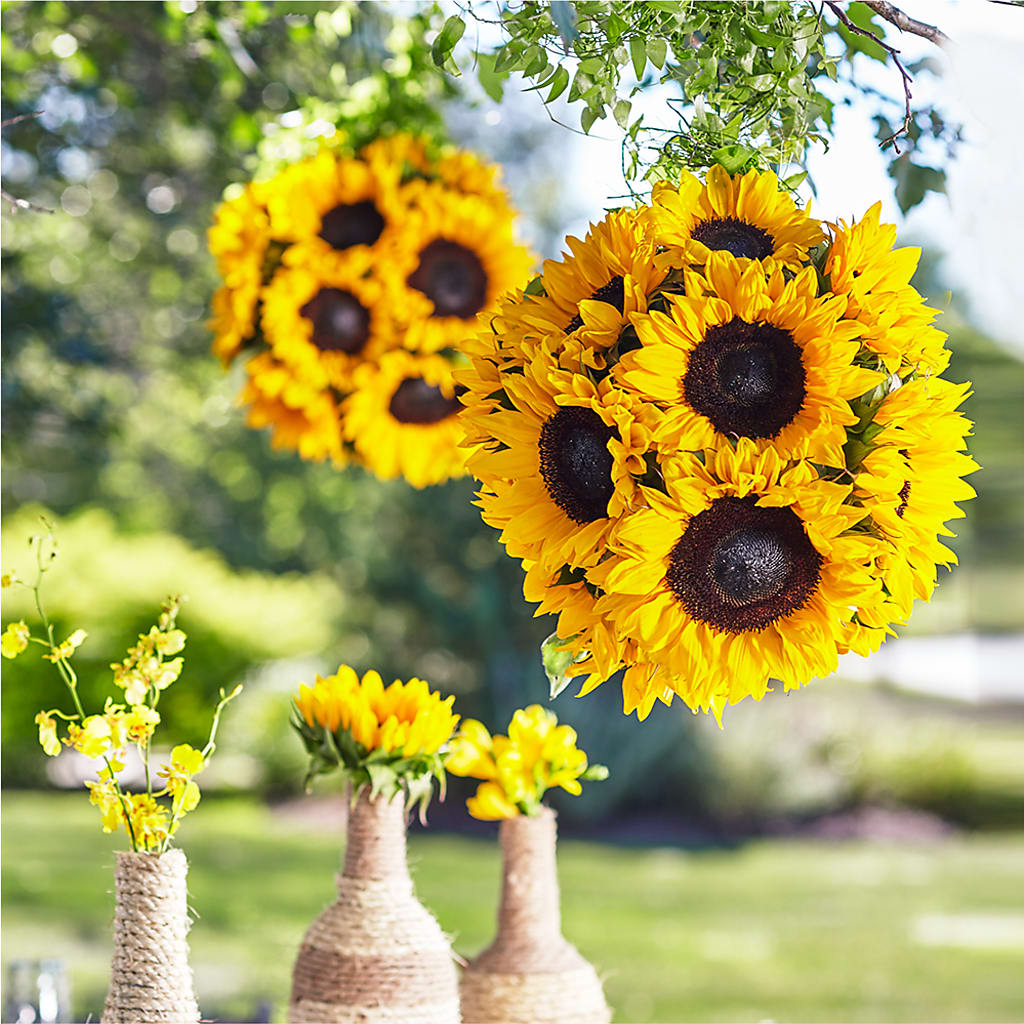 Sublime Garden Hanging Arrangement – Paoli Mercantile, Paoli IN