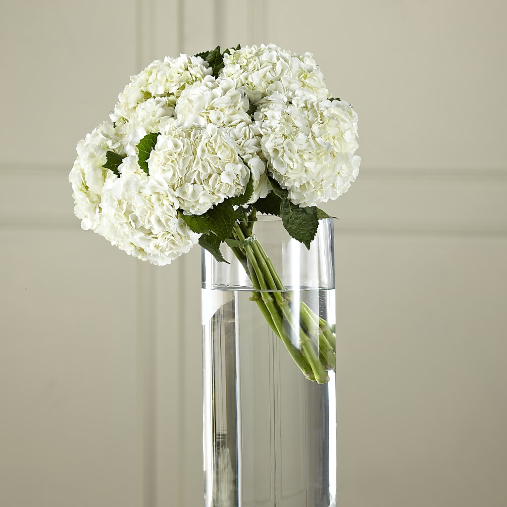White Hydrangea Hand-Tied Bouquet – Paoli Mercantile, Paoli IN