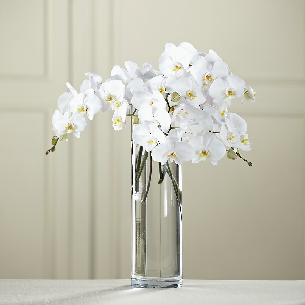 White Phalaenopsis Bouquet – Paoli Mercantile, Paoli IN