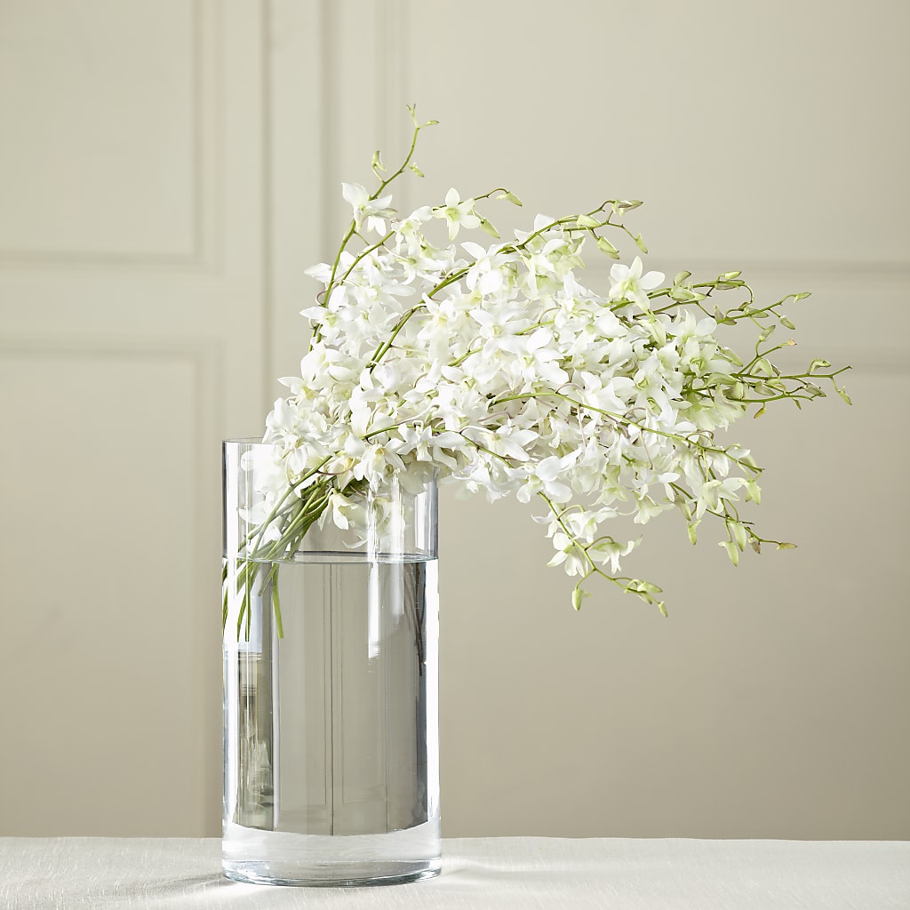 White Dendrobium Bouquet – Paoli Mercantile, Paoli IN