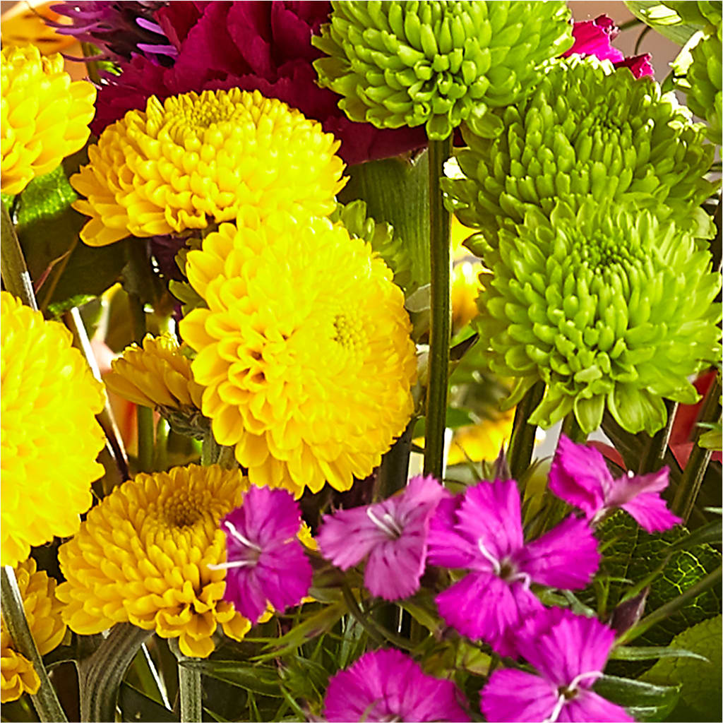 Bold & Bright – A Florist Original –  Paoli Mercantile, Paoli IN