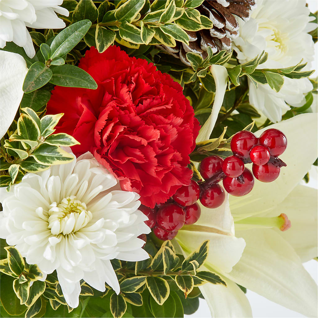Festive Moments Tree –  Paoli Mercantile, Paoli IN