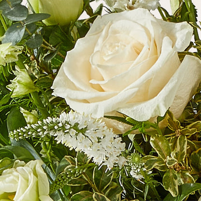 Cashmere Bouquet –  Paoli Mercantile, Paoli IN