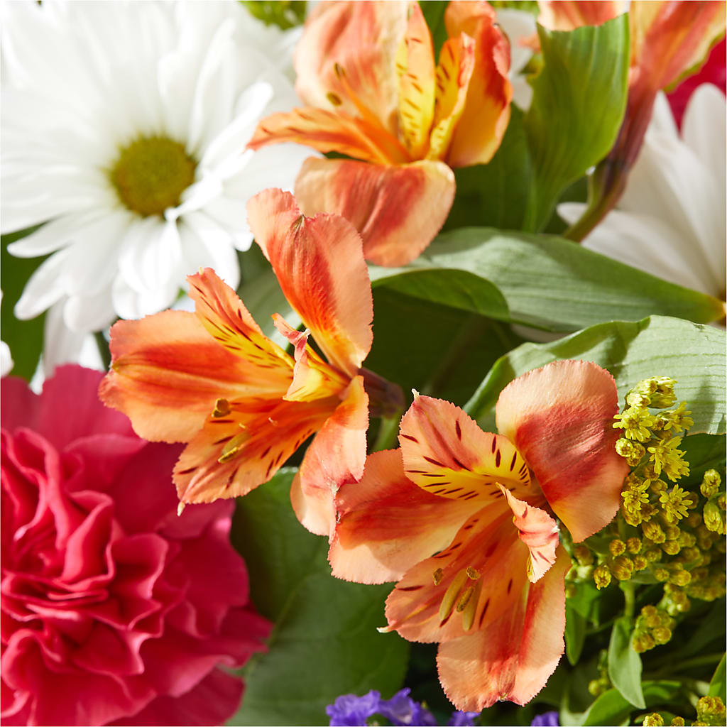 Oopsie Daisy Box Bouquet –  Paoli Mercantile, Paoli IN