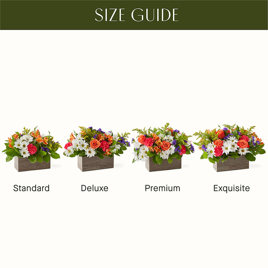 Oopsie Daisy Box Bouquet –  Paoli Mercantile, Paoli IN