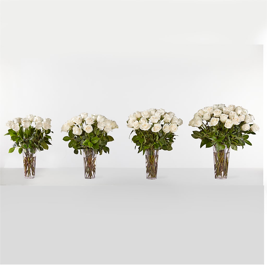 Long Stem White Rose Bouquet –  Paoli Mercantile, Paoli IN