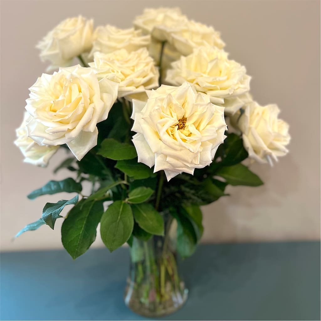 Long Stem Yellow Rose Bouquet –  Paoli Mercantile, Paoli IN