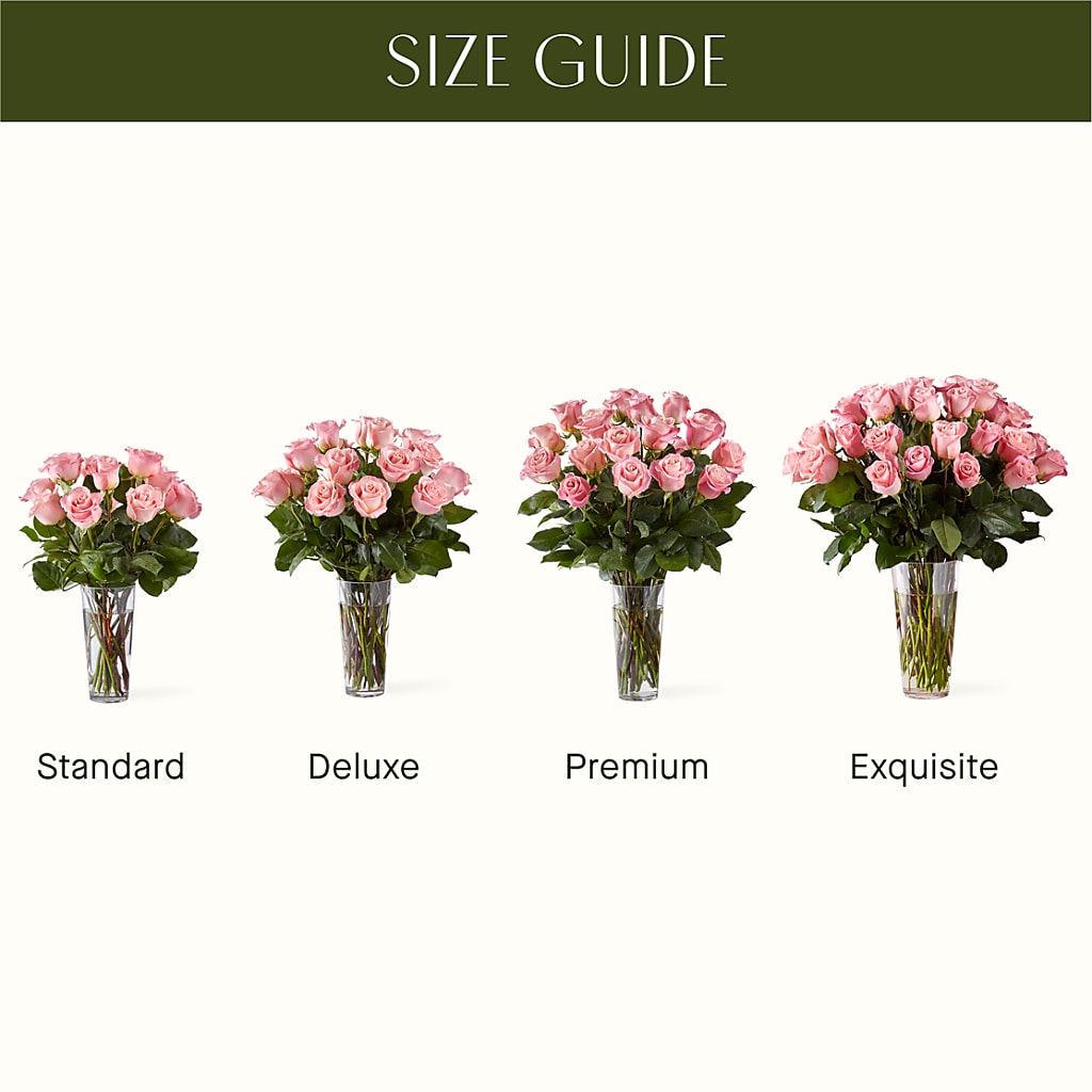 Long Stem Pink Rose Bouquet –  Paoli Mercantile, Paoli IN