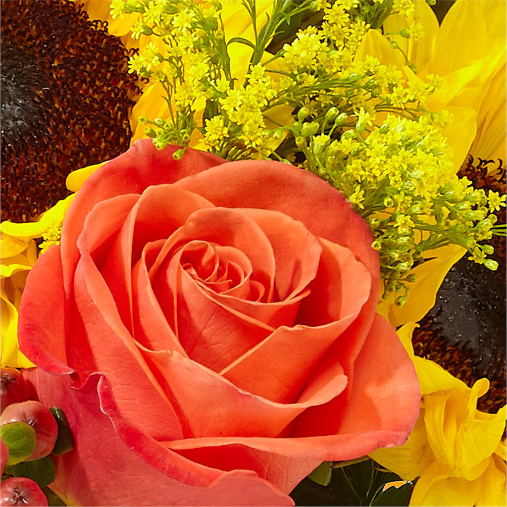 Pick of the Patch Pumpkin Bouquet –  Paoli Mercantile, Paoli IN