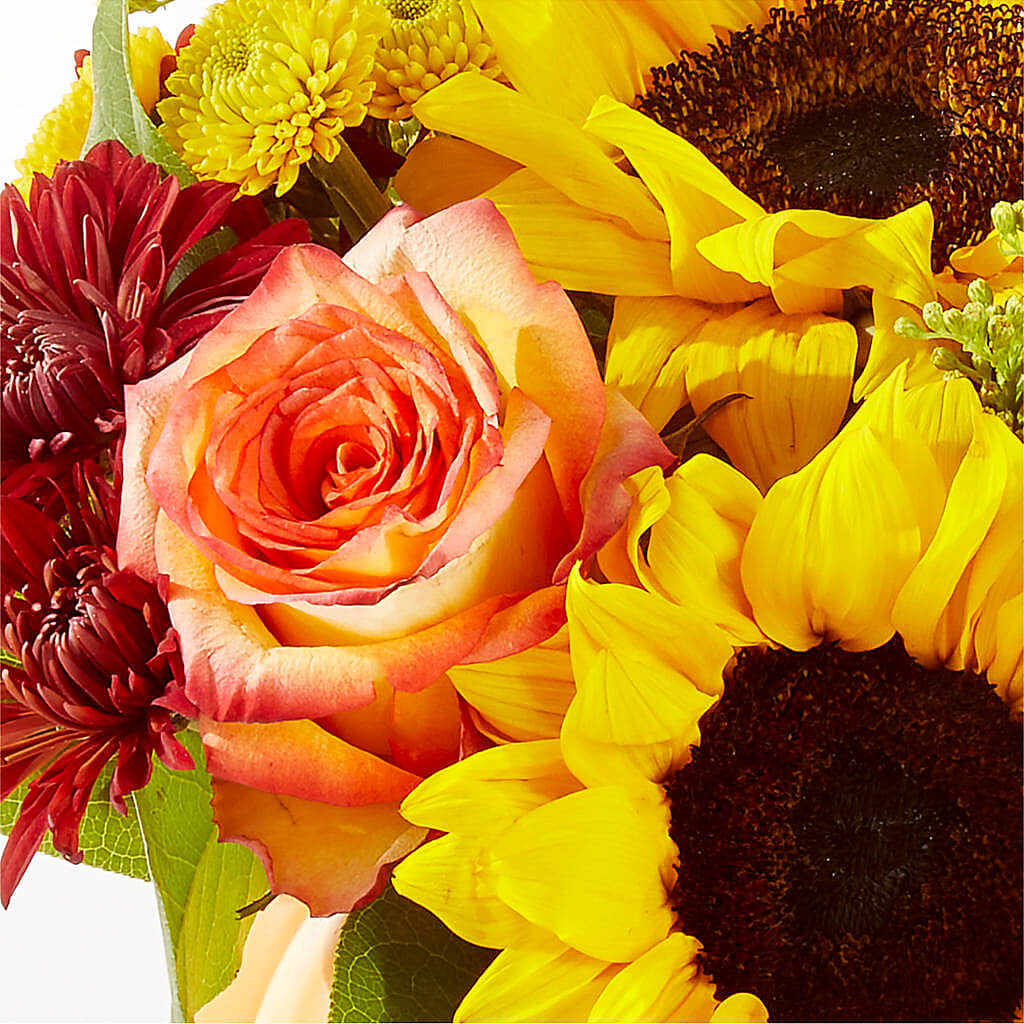 Golden Gourd Pumpkin Bouquet –  Paoli Mercantile, Paoli IN