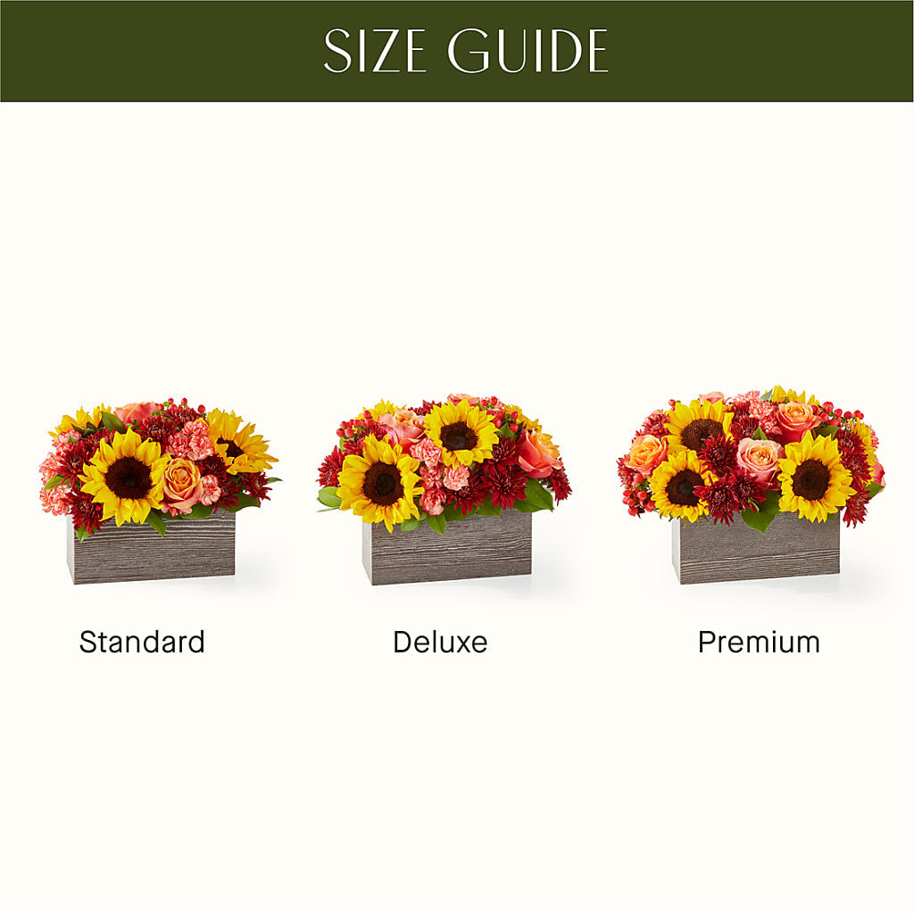 Fresh Cider Bouquet –  Paoli Mercantile, Paoli IN