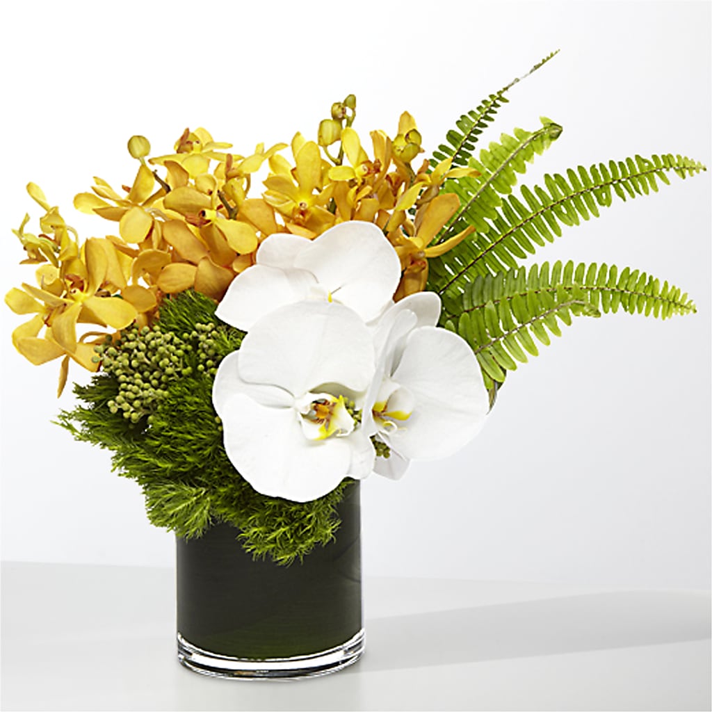 The Tropics –  Paoli Mercantile, Paoli IN