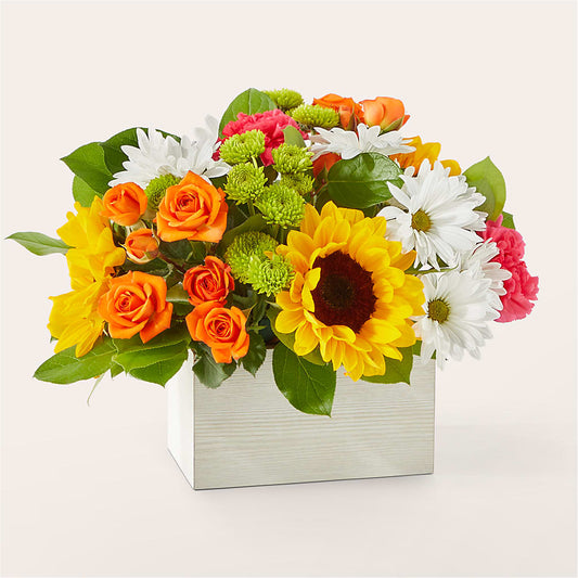 Sun-drenched Blooms Box Bouquet – PAOLI MERCANTILE, Paoli IN
