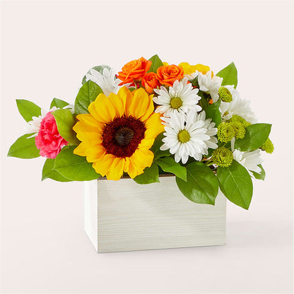 Sun-drenched Blooms Box Bouquet –  Paoli Mercantile, Paoli IN