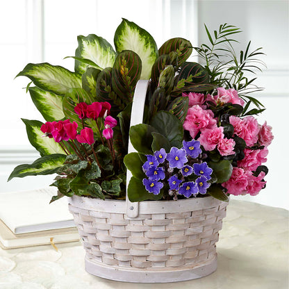 Peaceful Garden Planter –  Paoli Mercantile, Paoli IN