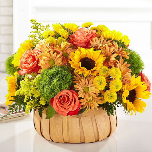 Harvest Sunflower Basket –  Paoli Mercantile, Paoli IN