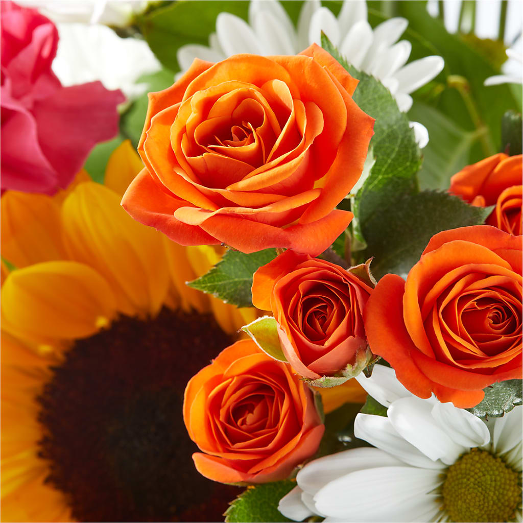 Sun-drenched Blooms Bouquet –  Paoli Mercantile, Paoli IN