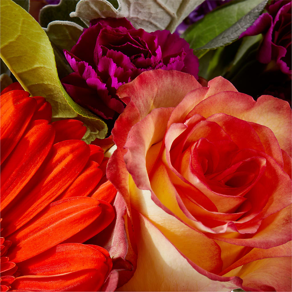 Sangria Bouquet –  Paoli Mercantile, Paoli IN