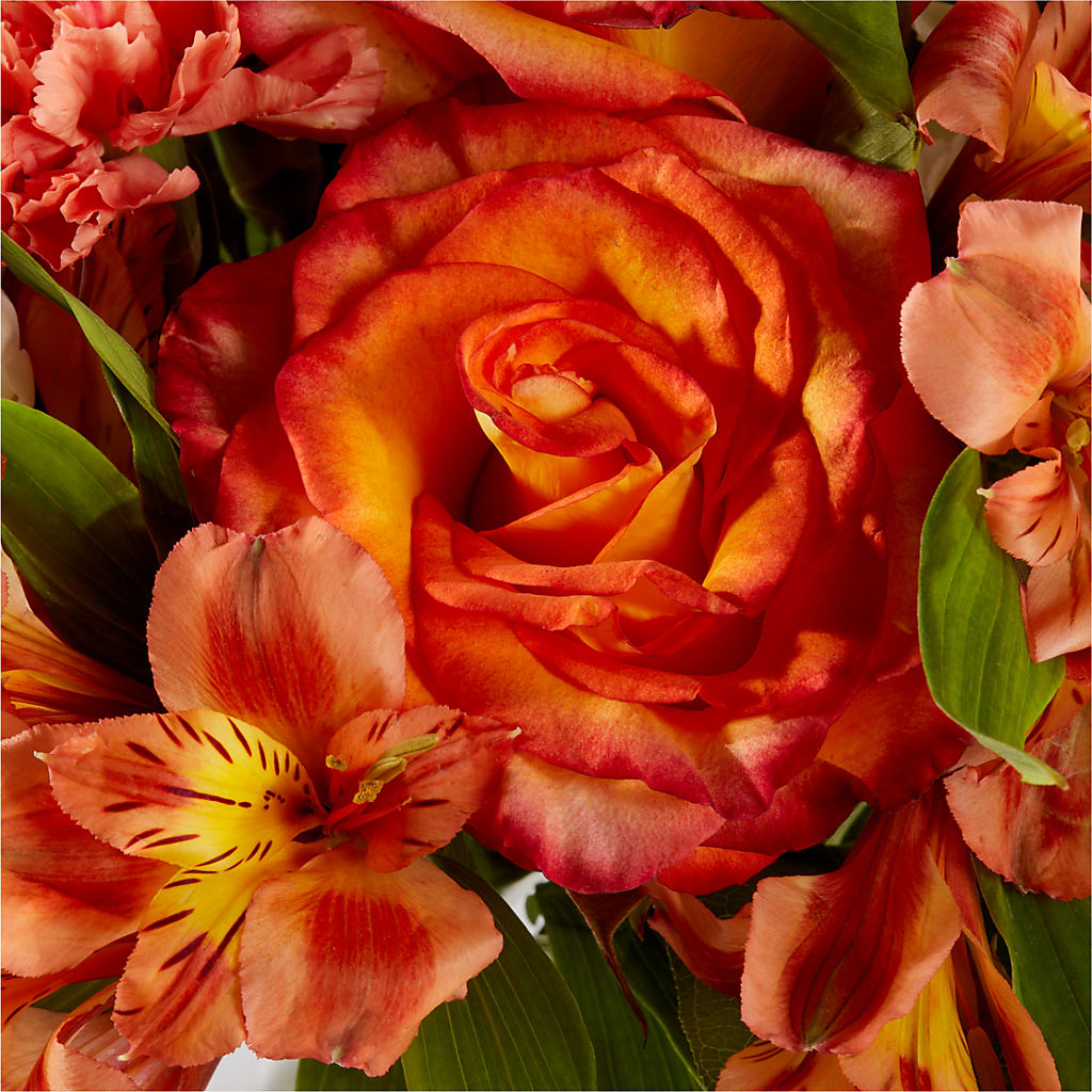 Apricot Glow Bouquet –  Paoli Mercantile, Paoli IN