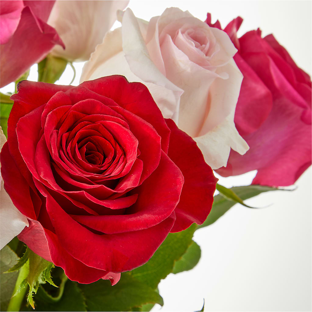 Charming Rose Bouquet –  Paoli Mercantile, Paoli IN