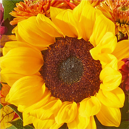 Sunny Side Bouquet –  Paoli Mercantile, Paoli IN