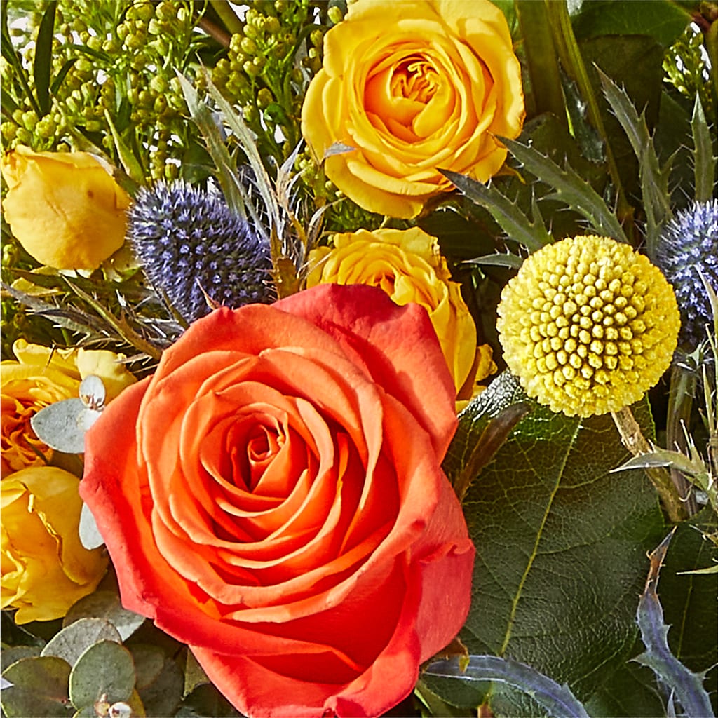 Disco Bouquet –  Paoli Mercantile, Paoli IN