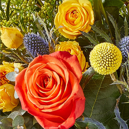 Disco Bouquet –  Paoli Mercantile, Paoli IN
