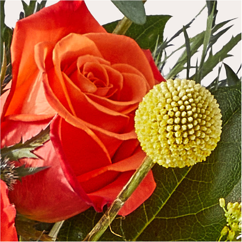 Disco Bouquet –  Paoli Mercantile, Paoli IN