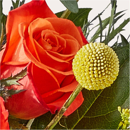 Disco Bouquet –  Paoli Mercantile, Paoli IN