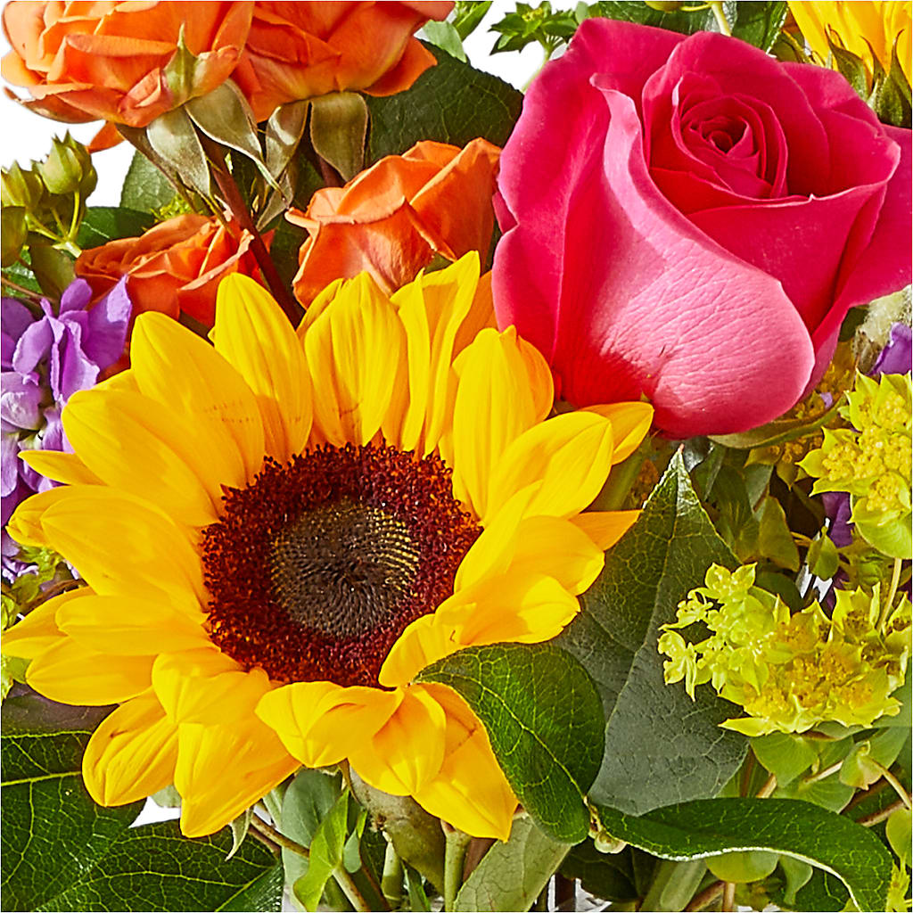 Vibrant Greetings Bouquet –  Paoli Mercantile, Paoli IN