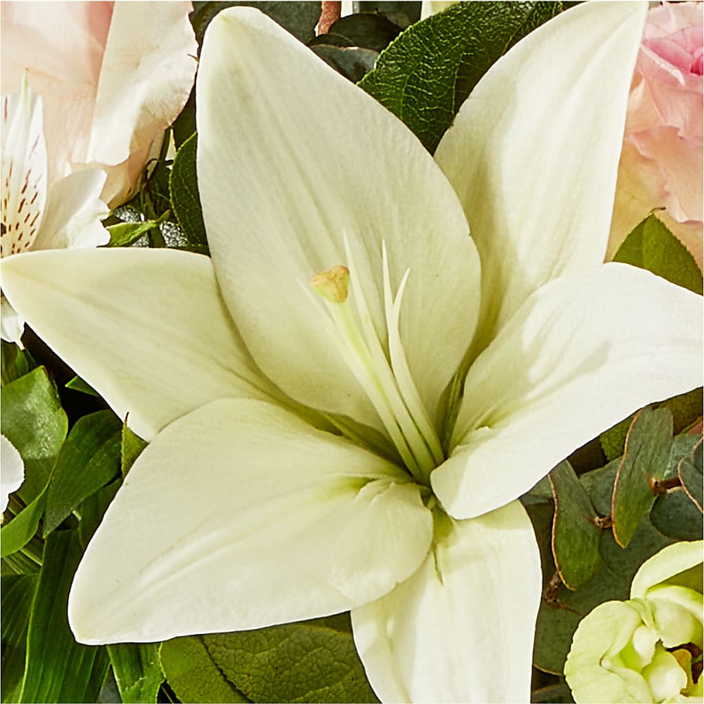 Ballet Slippers Bouquet –  Paoli Mercantile, Paoli IN
