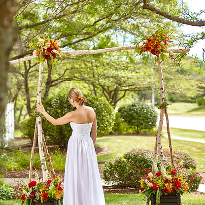Arbor of Love Archway –  Paoli Mercantile, Paoli IN