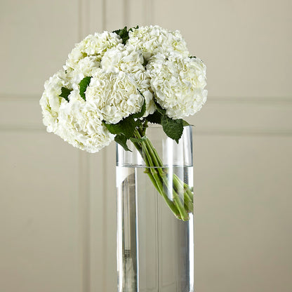 White Hydrangea Hand-Tied Bouquet –  Paoli Mercantile, Paoli IN