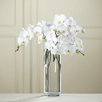 White Phalaenopsis Bouquet –  Paoli Mercantile, Paoli IN