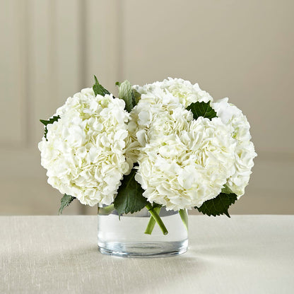 White Hydrangea Bouquet –  Paoli Mercantile, Paoli IN